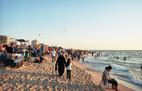 Medium_gaza_beach